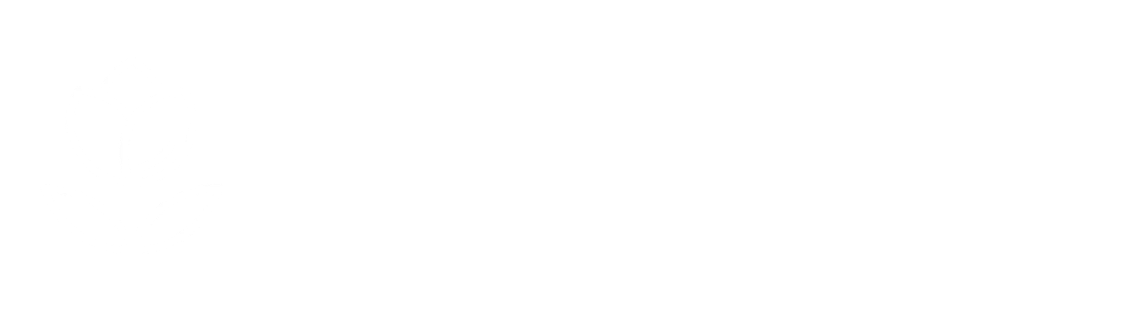 Logo Zays