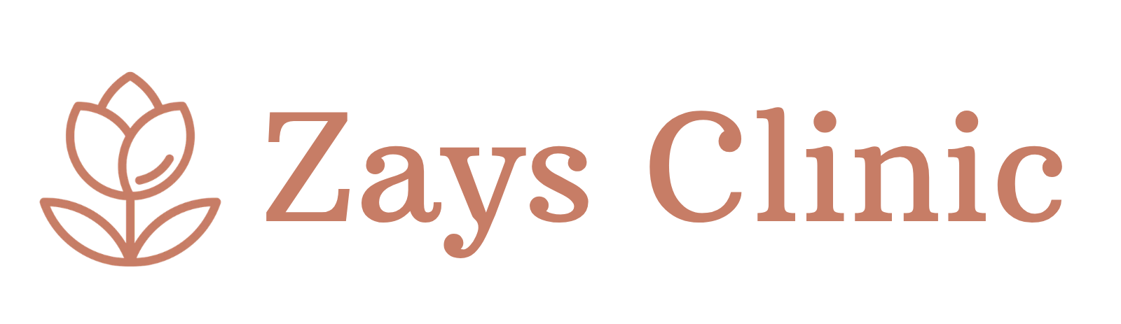 Logo Zays